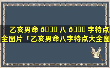 乙亥男命 🐅 八 🐕 字特点大全图片「乙亥男命八字特点大全图解」